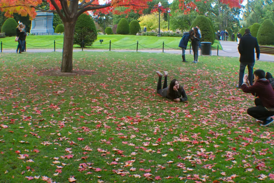 Red autumn leaves across a park lawn with people walking